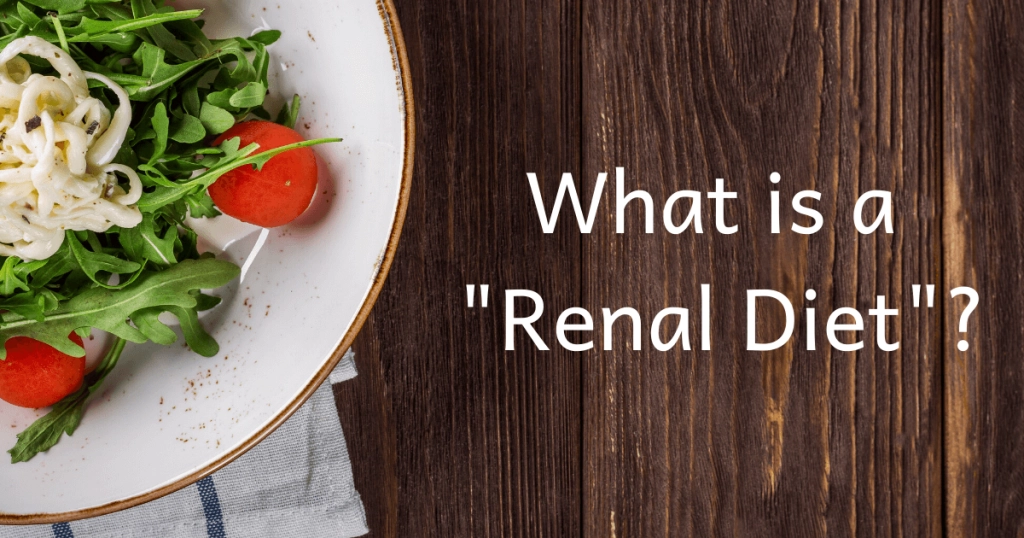 what is a renal diet?