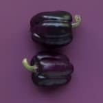 purple bell peppers with purple background