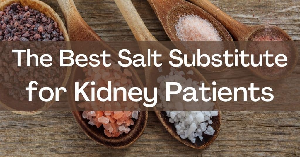 The Best Salt Substitute for Kidney Patients - The Kidney Dietitian