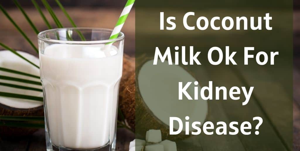Is Coconut Milk Ok For Kidney Disease? The Kidney Dietitian