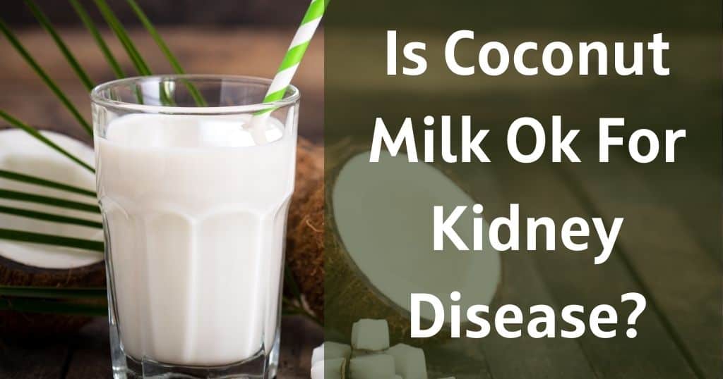 Coconut oil for deals dogs with kidney disease