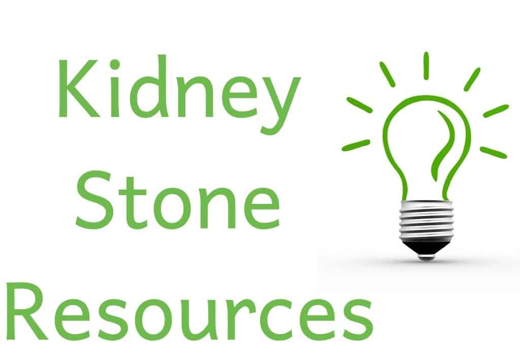 Can Too Much Protein Cause Kidney Stones? The Kidney Dietitian