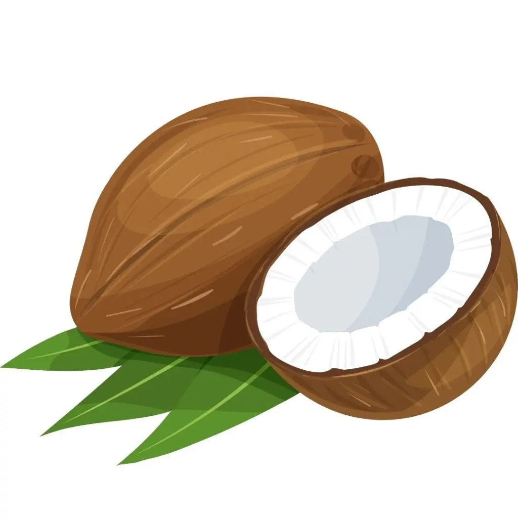 picture of halved coconut, a low oxalate nut