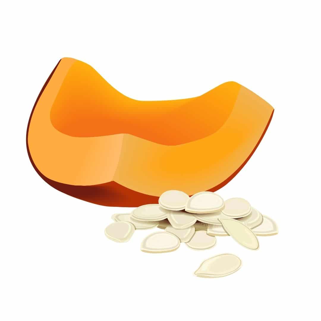 Low Oxalate Nuts & Seeds The Kidney Dietitian