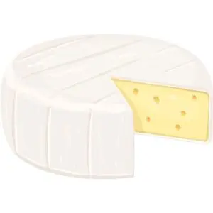 Cartoon picture of brie, a low phosphorus cheese choice