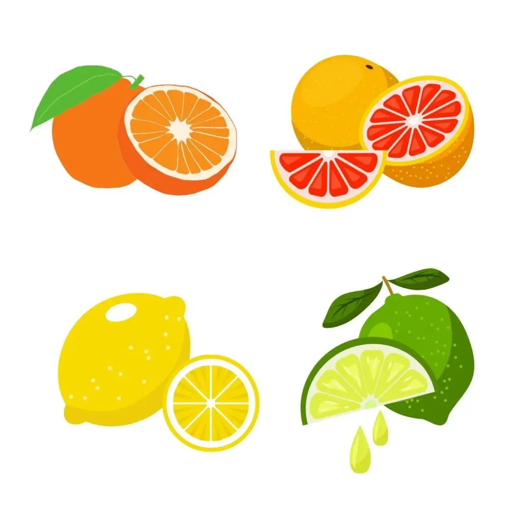 Picture of oranges, grapefruit, lemon and limes. Citrus fruits can help prevent kidney stones after gastric bypass surgery.