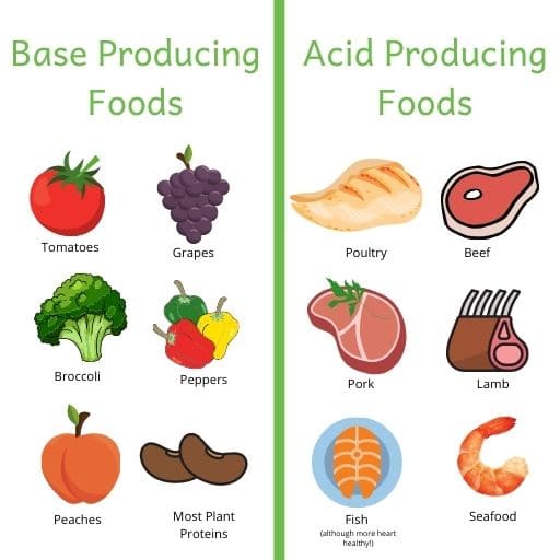 What is a Renal Diet? - The Kidney Dietitian