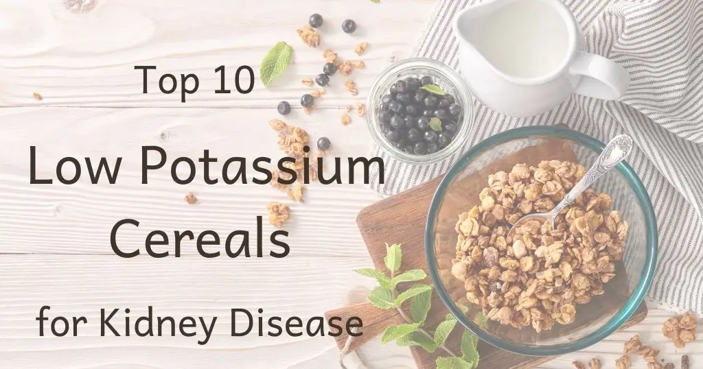 Bowl of cereal and berries with title: Top 10 Low Potassium Cereals for Kidney Disease" over image