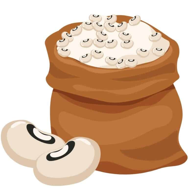 Top 10 Low Oxalate Beans The Kidney Dietitian