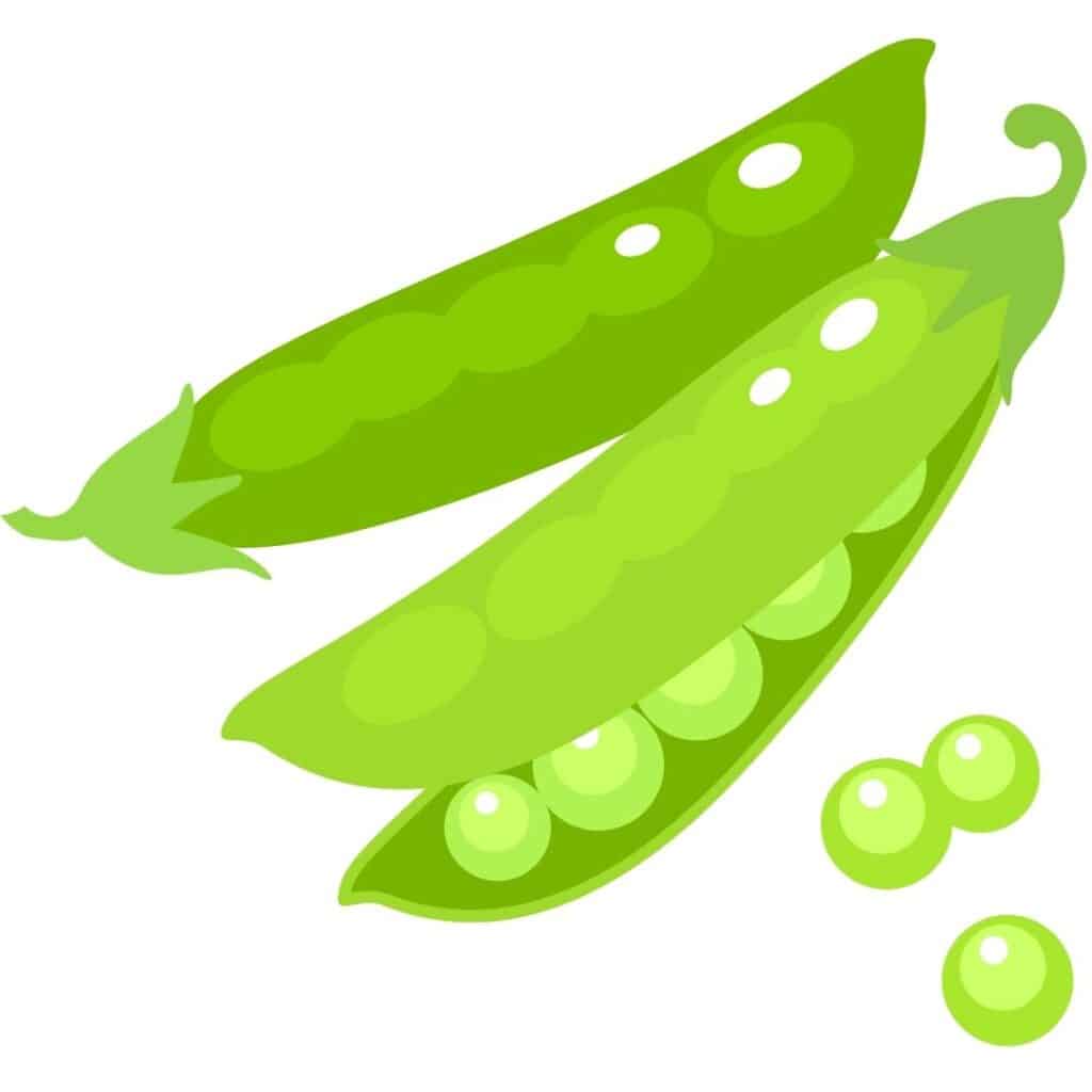 Clipart of green peas in a pod