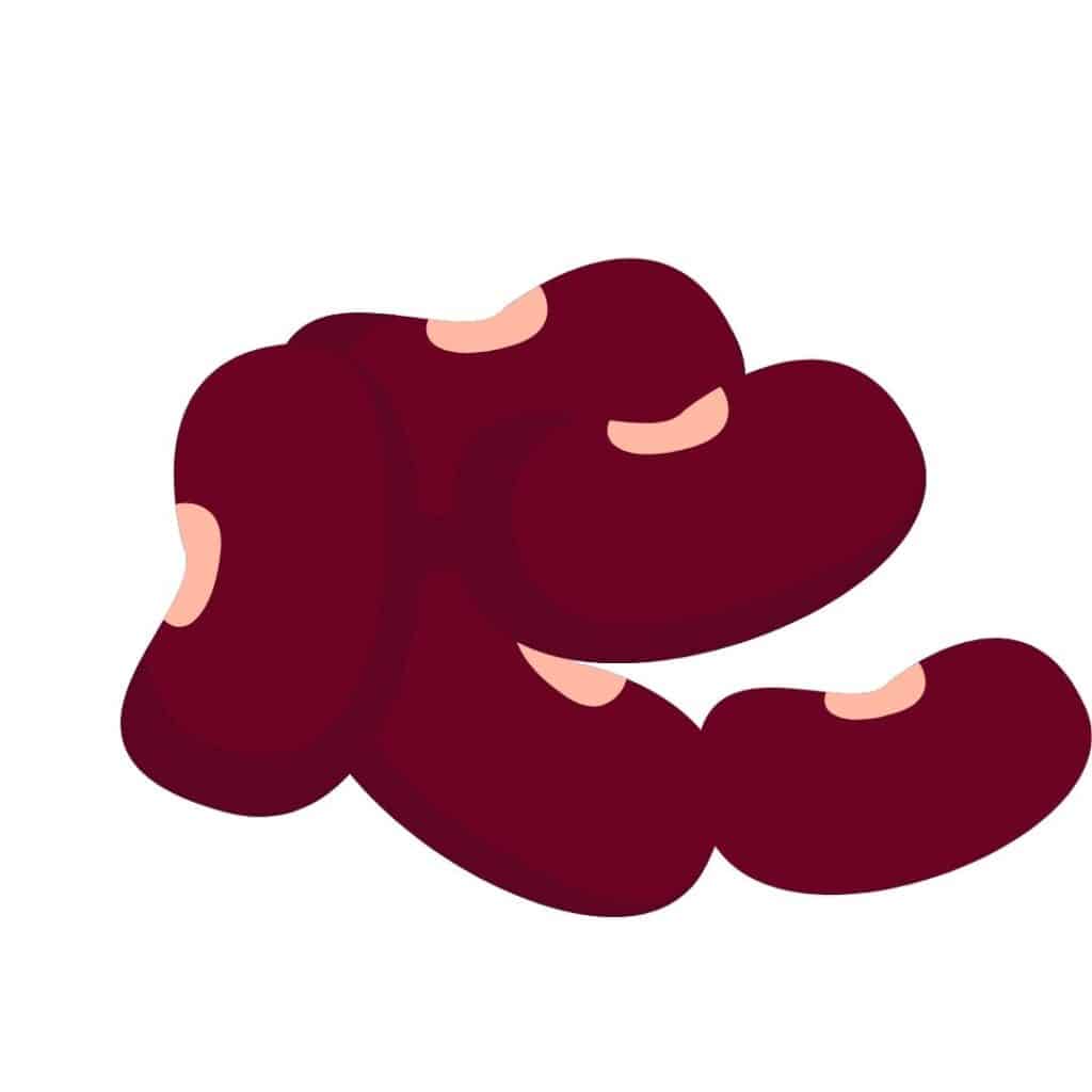 Clipart of 5 dark red kidney beans