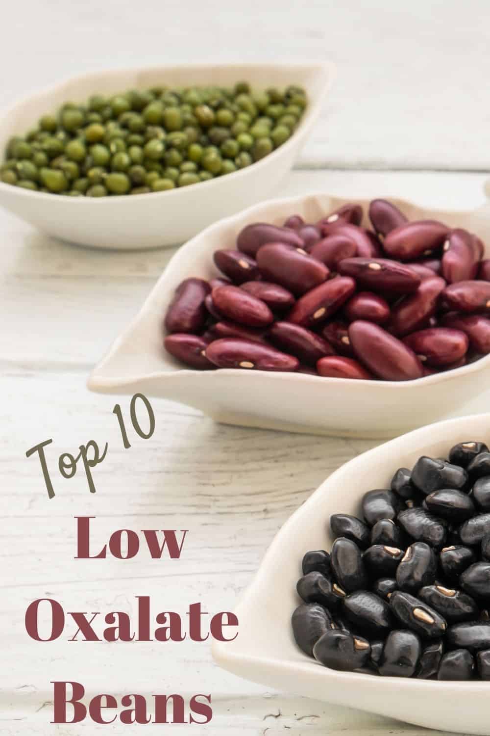 Low Oxalate Beans