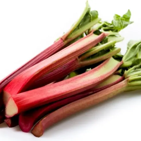 Fresh rhubarb