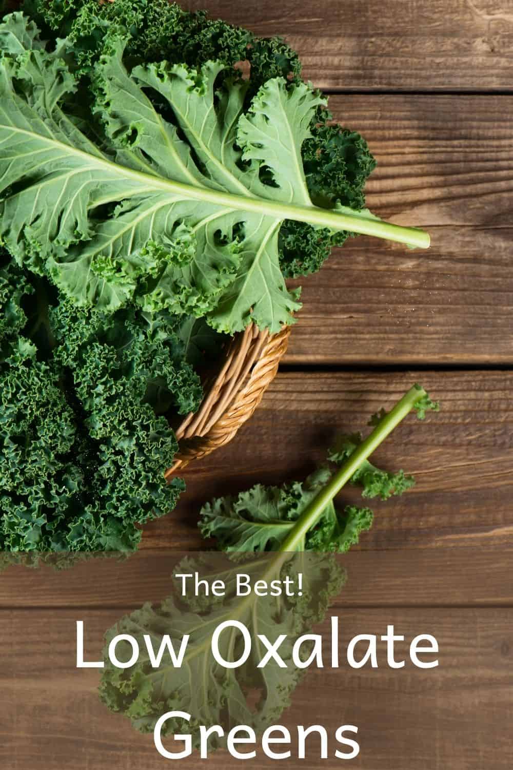 The Best Low Oxalate Greens The Kidney Dietitian