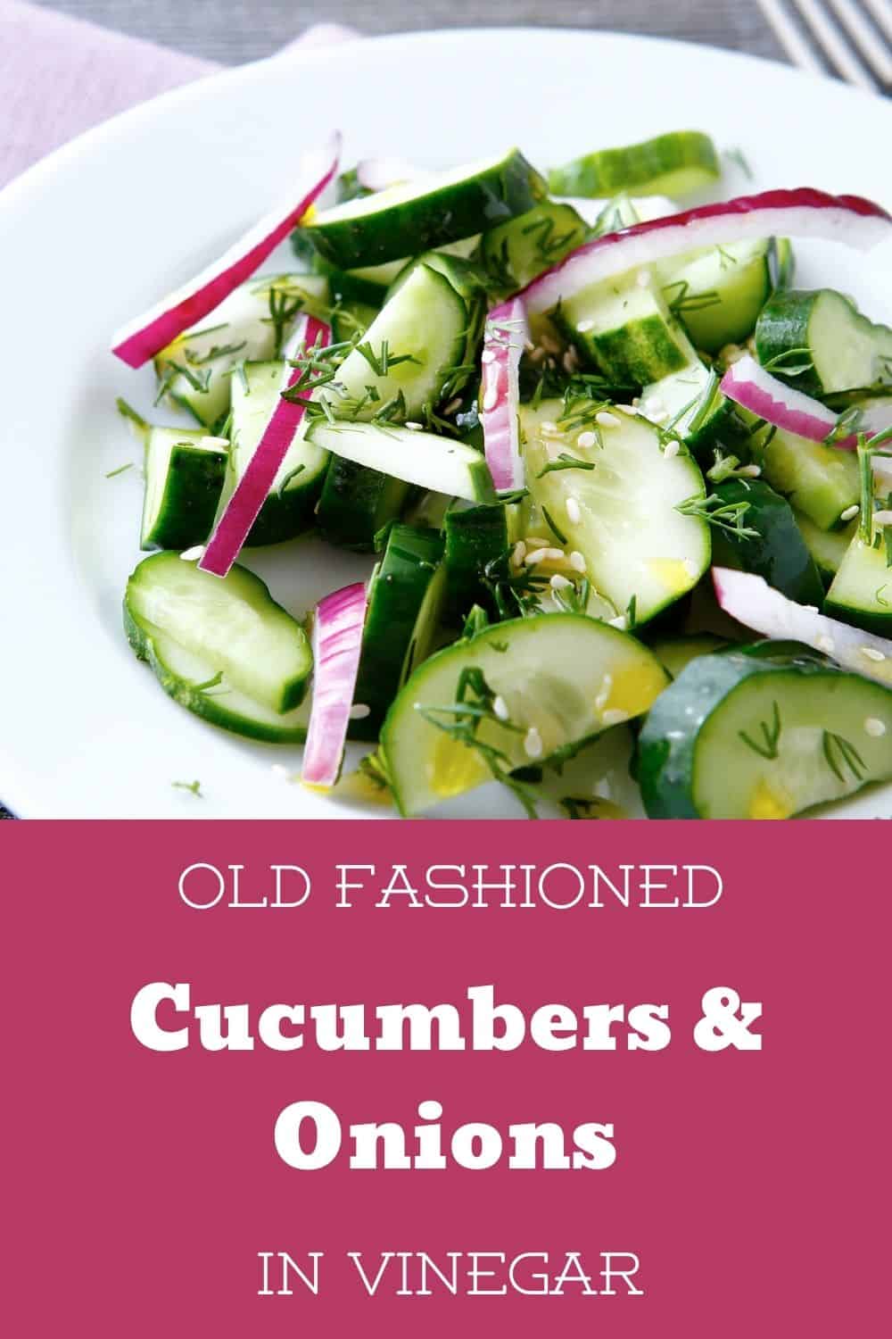 Old Fashioned Cucumbers and Onions in Vinegar The Kidney Dietitian