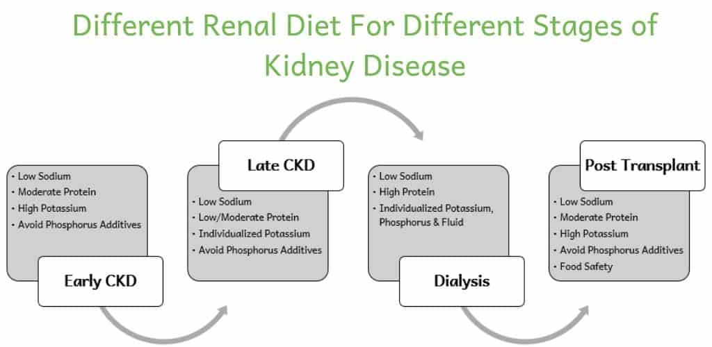 Flow chart showing how a renal diet changes as kidney disease progresses. In early CKD, focus on low sodium, moderate protein, high potassium and avoid phosphorus additives. In late CKD, focus on low sodium, low/moderate protein, individualized potassium and avoid phosphorus additives. On dialysis, focus on low sodium, high protein and individualized potassium, phosphorus and fluid. After transplant, focus on low sodium, moderate protein, high potassium, avoid phosphorus additives and food safety.