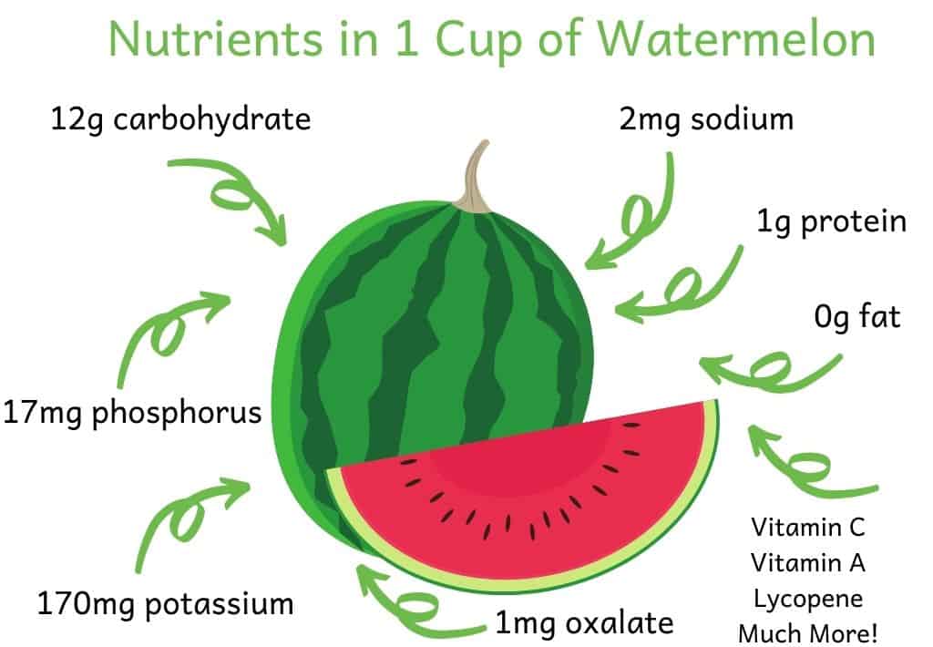 Nutrients in 1 cup of watermelon. Image of cartoon watermelon with nutrient amounts scattered around it. 12g carbohydrate, 17mg phosphorus, 170mg potassium, 2mg sodium, 1g protein, 0g fat, 1mg oxalate, vitamin C, vitamin A, lycopene and more!