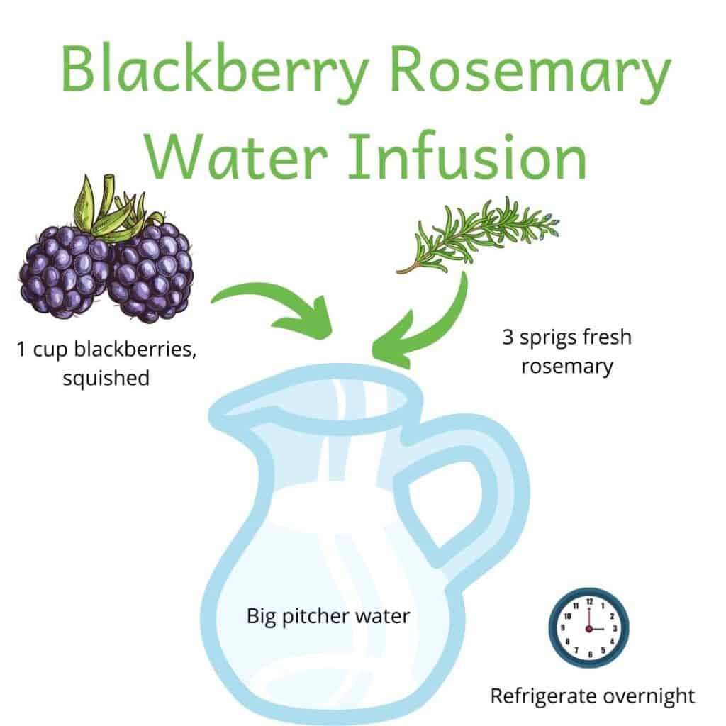 Picture of blackberry rosemary water infusion recipe. Place 1 cup squished blackberries and 3 sprigs of fresh rosemary in a big pitcher of water. Refrigerate overnight.