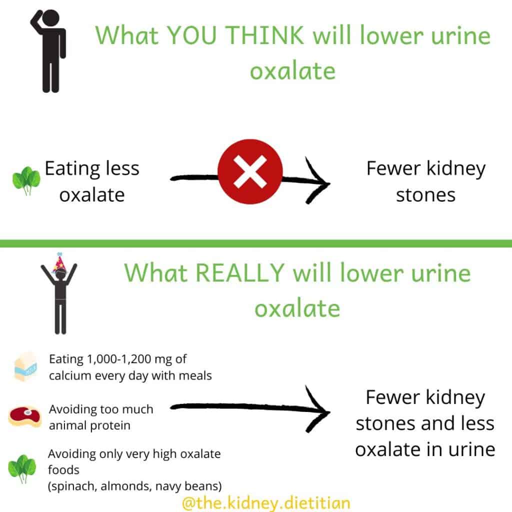 Image showing that you think that eating less oxalate will result in fewer kidney stones. Comparing to what will REALLY lower urine oxalate (eating 1000-1200mg calcium, avoiding too much animal protein and avoiding foods very high in oxalate)