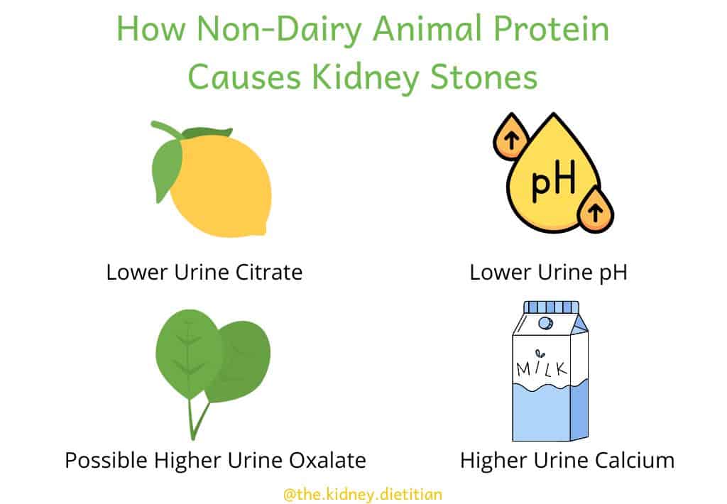 Title: How Non Dairy Animal Protein Causes Kidney Stones with images depicting each factor: lower urine citrate, lower urine pH, possible higher urine oxalate and higher urine calcium