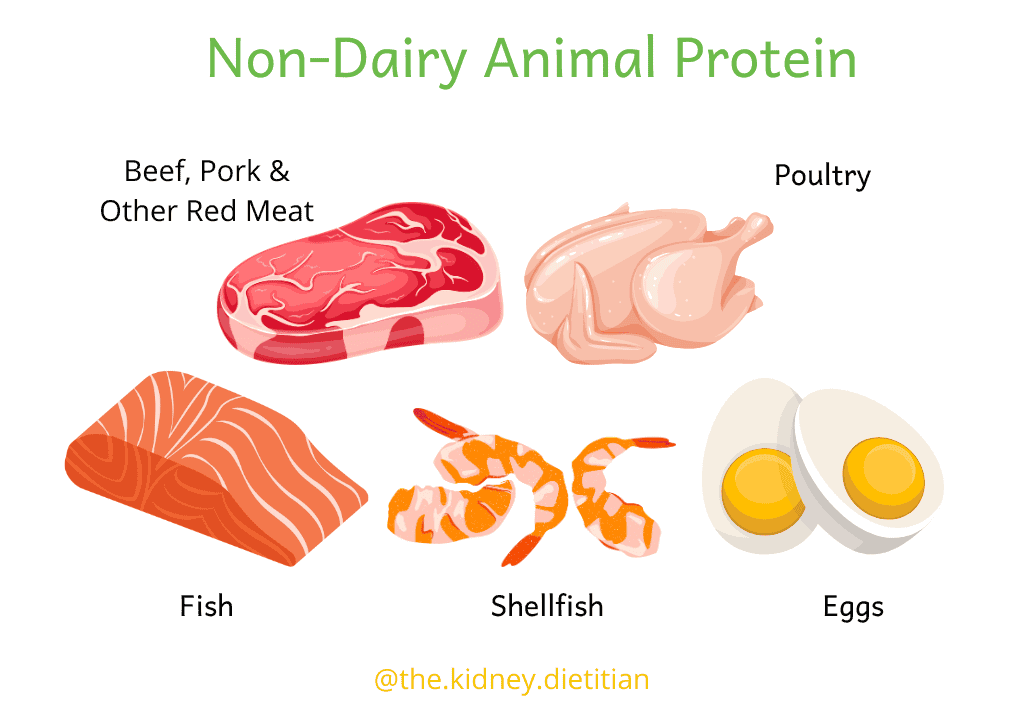 Non Dairy Animal Protein