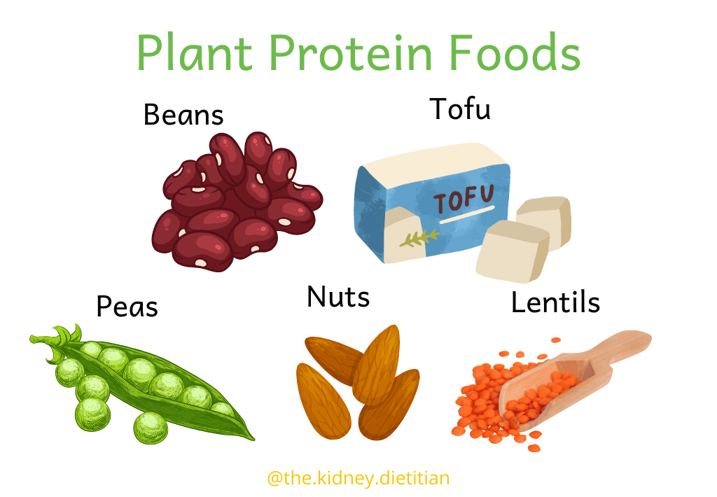 Plant Protein Foods