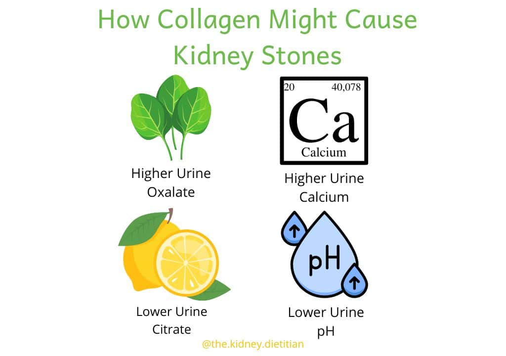 Image title: How Collagen Might Cause kidney stones with graphic of each way: higher urine oxalate, higher urine calcium, lower urine citrate, lower urine pH