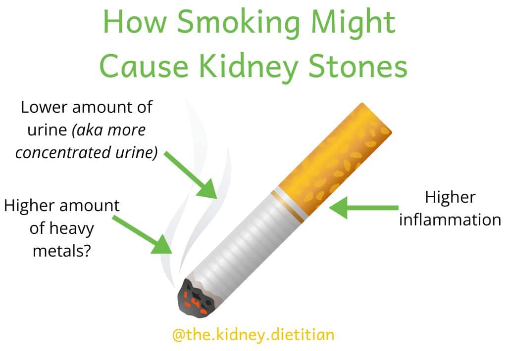 Image of cigarette with title "How Smoking Might Cause Kidney Stones". Text written around cigarette with following details "lower amount of urine (aka more concentrated urine), higher amount of heavy metals? and higher inflammation