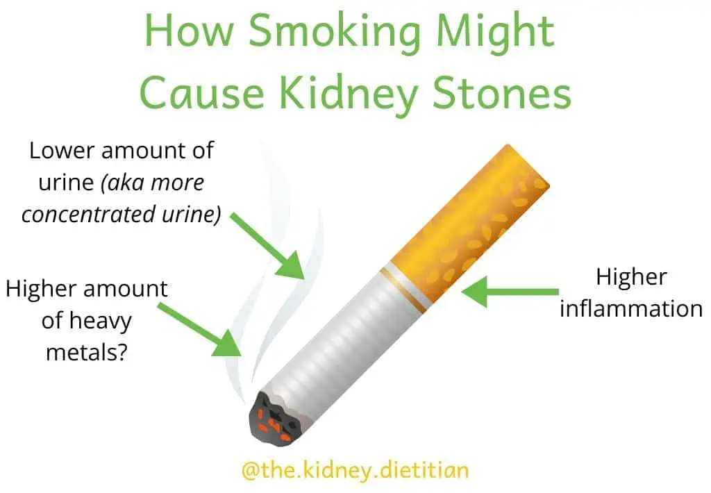 Image of cigarette with title "How Smoking Might Cause Kidney Stones". Text written around cigarette with following details "lower amount of urine (aka more concentrated urine), higher amount of heavy metals? and higher inflammation