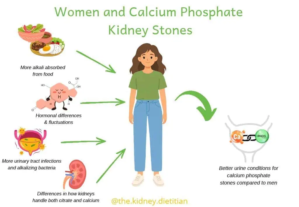 Infographic showing why women are more prone to calcium phosphate kidney stones - more alkali absorbed from food, hormonal differences, more urinary tract infections and differences in how kidneys handle calcium and citrate